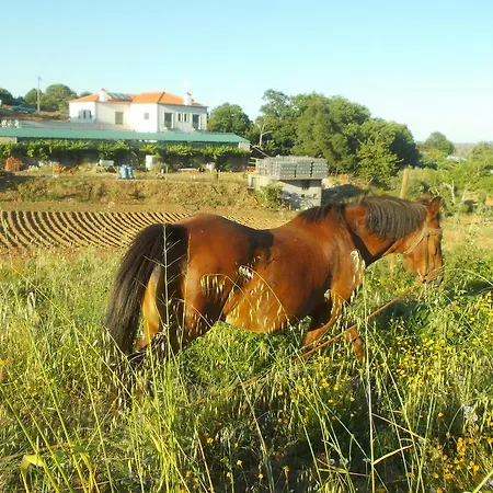 Quinta Do Vale Macedo de Cavaleiros