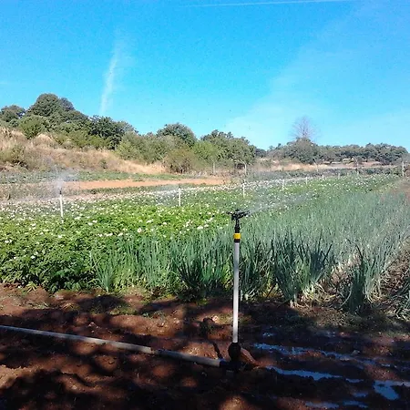 Alojamento de Turismo Rural Quinta Do Vale