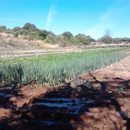 Quinta Do Vale *
